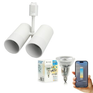 _Ng[ X|bgCg Ɩ Cg [Cg E11 LEDdt 50W  38x  F  F Cg Alexa  Matter Echo X}zΉ