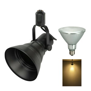 _Ng[ X|bgCg Ɩ Cg [Cg E26 LEDdt 100W   E26RAILPAR38-LDR10 r[ebN