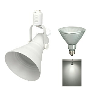 _Ng[ X|bgCg Ɩ Cg [Cg E26 LEDdt 100W   E26RAILPAR38-LDR10 r[ebN