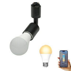 _Ng[ X|bgCg Ɩ Cg [Cg E26 LEDdt 80W  210x  F  F Cg Alexa  Matter Echo X}zΉ