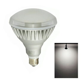【数量限定】LED電球 E26 160W 相当 バラストレス水銀灯形 電球色 2400lm 昼白色 2500lm 昼光色 2500lm LDR20-MGW38 ビームテック