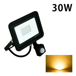 yʌzLED ZT[ dF F  30W IP65  O ho ϐo h LES030 r[ebN