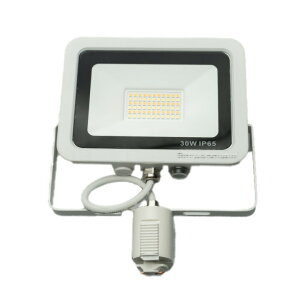 LED _Ng[ X|bgCg dF F   30W IP65  O ho ϐo h LEW030DR r[ebN