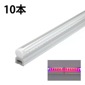 10{Zbg LED A琬 k͔| LEDCg ϗt A 琬 K[fjO A琬Cg LEDu 40W ̌^  T5 LED ǌu LEDu VƖ ԐڏƖ IƖ V[P[X