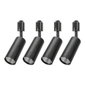 _Ng[tp LEĎ^ _Ng[ X|bgCg Ɩ Cg [Cg LEDdt 10W ΍ dFHsv   TR-CLIND-10  r[ebN