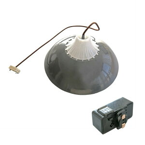 yʌzy_gCg 1 E26 LED  VƖ Ɩ Ɩ ACAVF[h AR[fBI y_gCg YP-TPC38 r[ebN