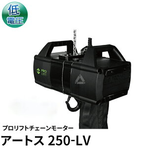Prolyft �v�����t�g �`�F�[�����[�^�[ �A�[�g�X250kg AETOS250-LV ��d���R���g���[�� IP55�ی� ���O�d�l Prolyft �I�����_�� �r�[���e�b�N