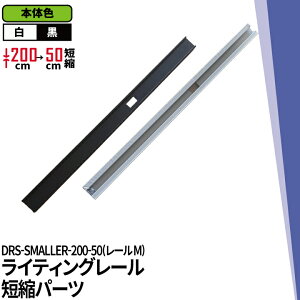 �_�N�g���[�� ���C�e�B���O���[�� DRS-III�V���[�Y �Z�k 200cm �� 50cm �� DRS-SMALLER-200-50