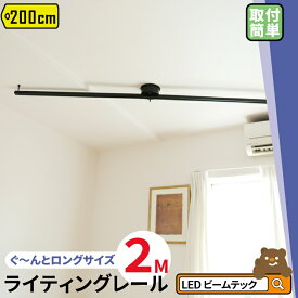 ダクトレール ライティングレール シーリングライト おしゃれ スポットライト 間接照明 2m 200cm 2000mm DRS200-SIII