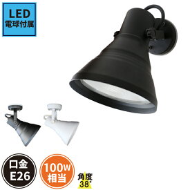 LEDビーム球付属 100W ブラケットライト E26 スポット ライト 壁掛け E26FLPAR38K-WP-LDR10 ビームテック ブラック