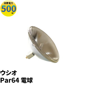 USHIO �E�V�I�d�� Par64 JP100V500WC/N/S6/E �r�[���e�b�N