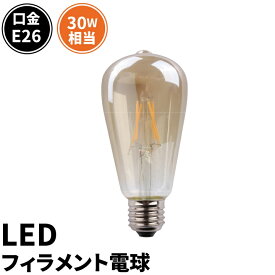 LED電球 E26 30W 相当 300度 フィラメント エジソン レトロ 北欧 虫対策 濃い電球色 300lm LDST4H-FD-BT-G ビームテック
