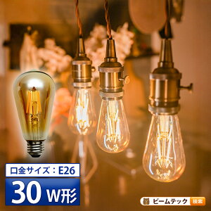 LED�d�� E26 30W ���� 300�x �t�B�������g �G�W�\�� ���g�� �k�� ���΍� �Z���d���F 300lm LDST4H-FD-BT-G �r�[���e�b�N