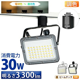 【P10倍以上!エントリー必須】LED投光器 ダクトレール スポットライト 電球色 昼光色 黒 白 30W IP65 屋内 屋外 防塵 耐塵 防水 LEW030DRII ビームテック