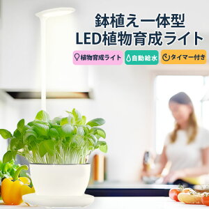 LEDA琬Cg 琬Cg  A琬 A͔| e[uO[v   ^C}[ LG-FLORA r[ebN