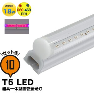 10{Zbg LED A琬 k͔| LEDCg ϗt A 琬 K[fjO A琬Cg LEDu 40W ̌^  T5 LED ǌu LEDu VƖ ԐڏƖ IƖ V[P[X