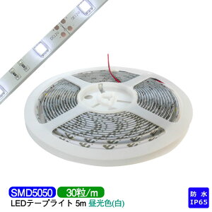 LEDe[vCg 5m h IP65  white SMD5050LED`bv150 LEDe[vyRlN^[ʓrz er ԐڏƖ Ɩp vdl DIY