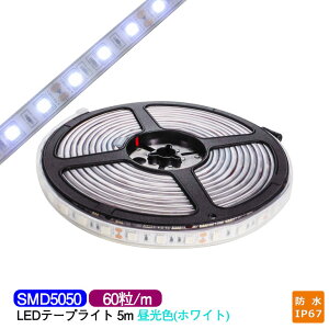 LEDe[vCg 5m h IP67  white SMD5050 LED`bv300 LEDe[v