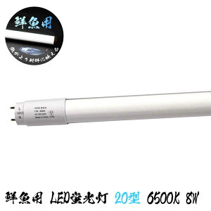 ɐVNɉf Np 20^ LEDu 8W 6500K 810lm 13G zpx180° 28x580mm ǌu Бd oCpXHK{ LED 39Vbv N₩ o 