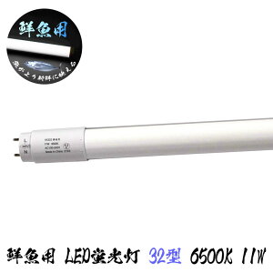 ɐVNɉf Np 32^ LEDu 11W 6500K 1100lm 13G zpx180° 28x830mm ǌu Бd oCpXHK{ LED 39Vbv N₩ o 