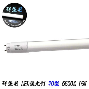 ɐVNɉf Np 40^ LEDu 15W 6500K 1500lm 13G zpx180° 28x1198mm ǌu Бd oCpXHK{ LED 39Vbv N₩ o 