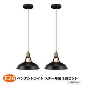 2個セット 激安 スチール製 ペンダントライト器具 天井取付タイプ 黒色 おしゃれ 北欧 LED プロ施工業者向け 業務用 レトロ アンティーク 天井照明 吊り下げ照明 アンティーク ダイニング リビング照明 屋内照明 レストラン テーブル キッチン 口金E26 電球別売