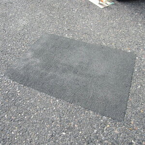 AXt@gC iC ϋv 11kg ANnHʕC