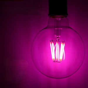 J[LED{[ tBgLEDd J[LEDd J[d J[ Ή E26 S[h dF bh u[ O[ sN     y_gCg o[ EW