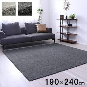 O ` 􂦂郉O ~pO [vpC   RۖhL I[o[bN ɂH O[ ubN 3 190×240cm g[ zbgJ[ybgΉ