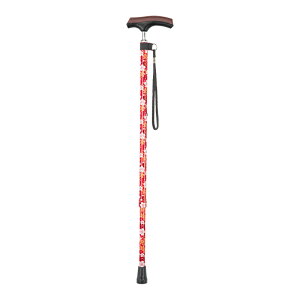   s⏕ XebL 炩XlbNXebL Lk ԍ hV̓ ̓ v[g pI  60 70 80 Mtg 蕨