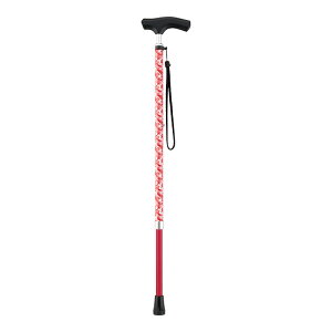   s⏕ XebL JtXebL Lk hV̓ ̓ v[g pI  60 70 80 Mtg 蕨