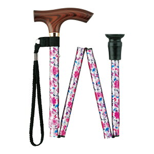   s⏕ XebL X}CXebL ܂肽݁Eאg hV̓ ̓ v[g pI  60 70 80 Mtg 蕨