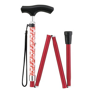   s⏕ XebL JtXebL ܂肽 hV̓ ̓ v[g pI  60 70 80 Mtg 蕨