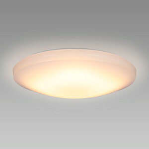 z^NX LEDV[OCg  `12 LIFELED'S dF2700K 5000lm 45W z^bN@\ 炬[h