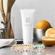 ノエビア NOEVIR80 ノエビア80 クレンジングフォーム 洗顔料 110g ノエビア化粧品 1063 noevir cosme fac…