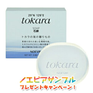 mGrA gJ̊C̐Ό hΌ 110g Ō`Ό mGrAϕi 7324