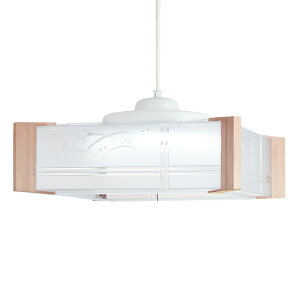 z^NX LEDy_gCg a LIFELED'S F6700K 3100lm 24W