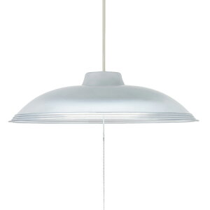 z^NX LEDy_gCg LIFELED'S F6700K 3869lm 29W