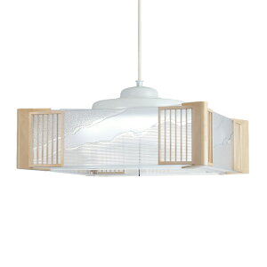 z^NX LEDy_gCg a LIFELED'S F6700K 3700lm 29W