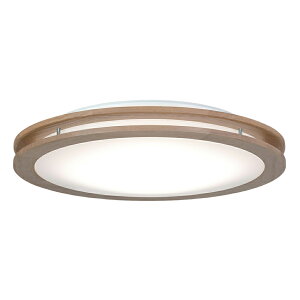 z^NX LEDV[OCg |V[OΉ  F `12 LIFELED'S A[oI[N 5100lm 45W z^bN@\ 炬[h