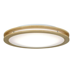z^NX LEDV[OCg |V[OΉ  F `12 iؘg  h LIFELED'S A[oI[N 5100lm 45W Rt rO _CjO i`I[NJ[ z