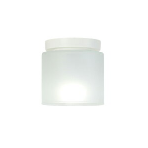 �z�^���N�X LED���^�V�[�����O���C�g LIFELED'S �����F5000K 380lm 4.2W �V�䒼�t�� �v�d�C�H��