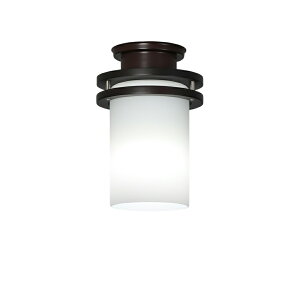 �z�^���N�X LED���^�V�[�����O���C�g LIFELED'S �A�[�o���I�[�N �����F5000K 710lm 9W �V�䒼�t�� �v�d�C�H��