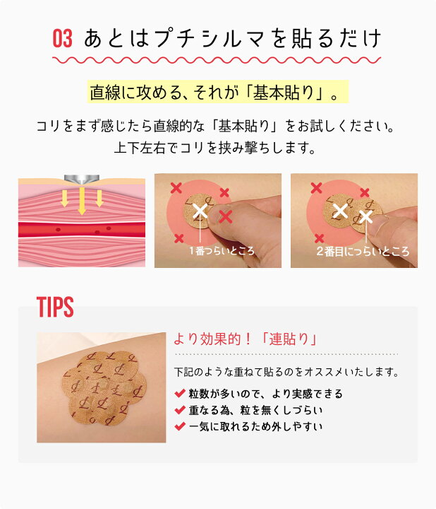 楽天市場】【LINE追加で最大10%OFF!!】プチシルマDX5.5 スーパー10 5.5 