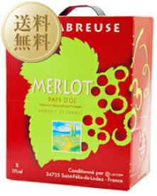 ジャンジャン メルロー BIB（バックインボックス） 3000ml 4本 1ケース BOXワイン ボックスワイン 赤ワイン 箱ワイン 同梱不可 包装不可