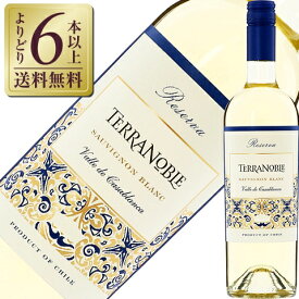 【よりどり6本以上送料無料】 テラノブレ レゼルバ ソーヴィニヨンブラン 2022 750ml 白ワイン チリ