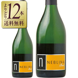 【よりどり12本送料無料】 スパークリングワイン ネブリナ スパークリング 750ml チリ