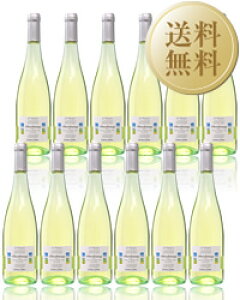 yz JeB[i _Eg[  @JcF Vhl tbc@e 750ml 12{ 1P[X Xp[NOC C^A s iƓs