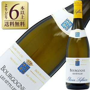 �y���ǂ�6�{�ȏ㑗�������z �I�����B�G ���t���[�� �u���S�[�j�� �u���� �� �Z�e�B�[�� 2022 750ml �����C�� �V�����h�l �t�����X �u���S�[�j��