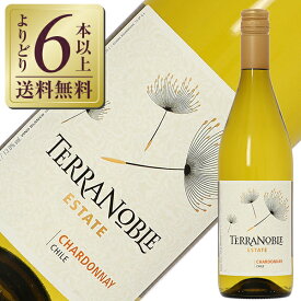 【よりどり6本以上送料無料】 テラノブレ ヴァラエタル シャルドネ 2023 750ml 白ワイン チリ